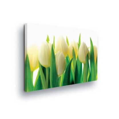 Flowers (987CV)