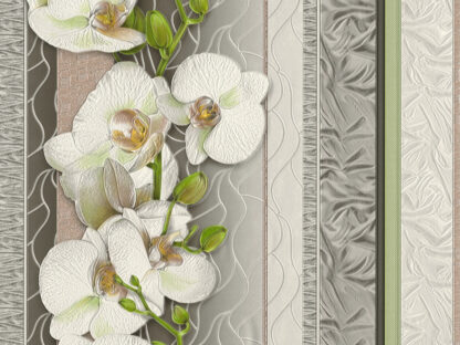 Comfort 5703-10