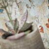 Tapeet 379541 - Image 10