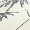 Tapeet 369192 - Image 4