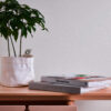 Tapeet 316011 - Image 7