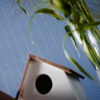 Tapeet 575418 - Image 14