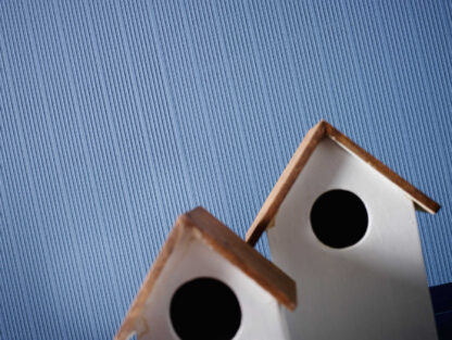 Tapeet 575418 - Image 12