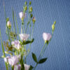 Tapeet 575418 - Image 13