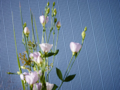 Tapeet 575418 - Image 13
