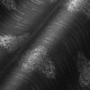 Tapeet 319464 - Image 4