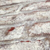 Tapeet 362801 - Image 4