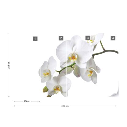 Flowers White Orchids(737WM) (416X254cm XXXL) - Image 3