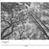Tapeet 1382401 - Image 4