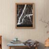 Tapeet 1388196 - Image 10