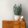 Tapeet 1393391 - Image 6