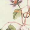Tapeet 1782121 - Image 5