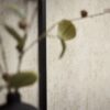 Tapeet 1786291 - Image 7