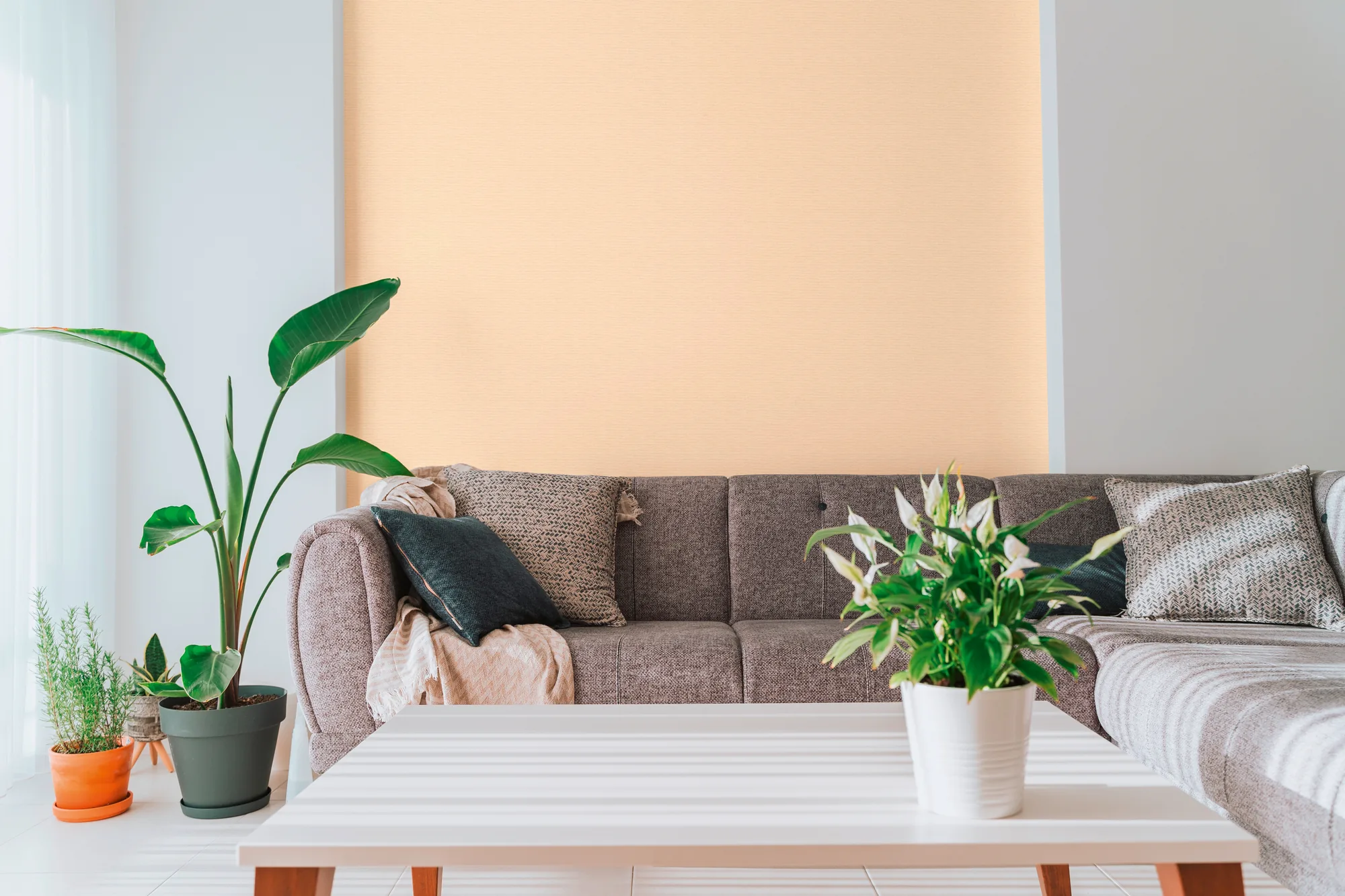 Tekstiilse ilmega ühetooniline fliistapeet beež ja oranž PintWalls III – 306896 - Image 2