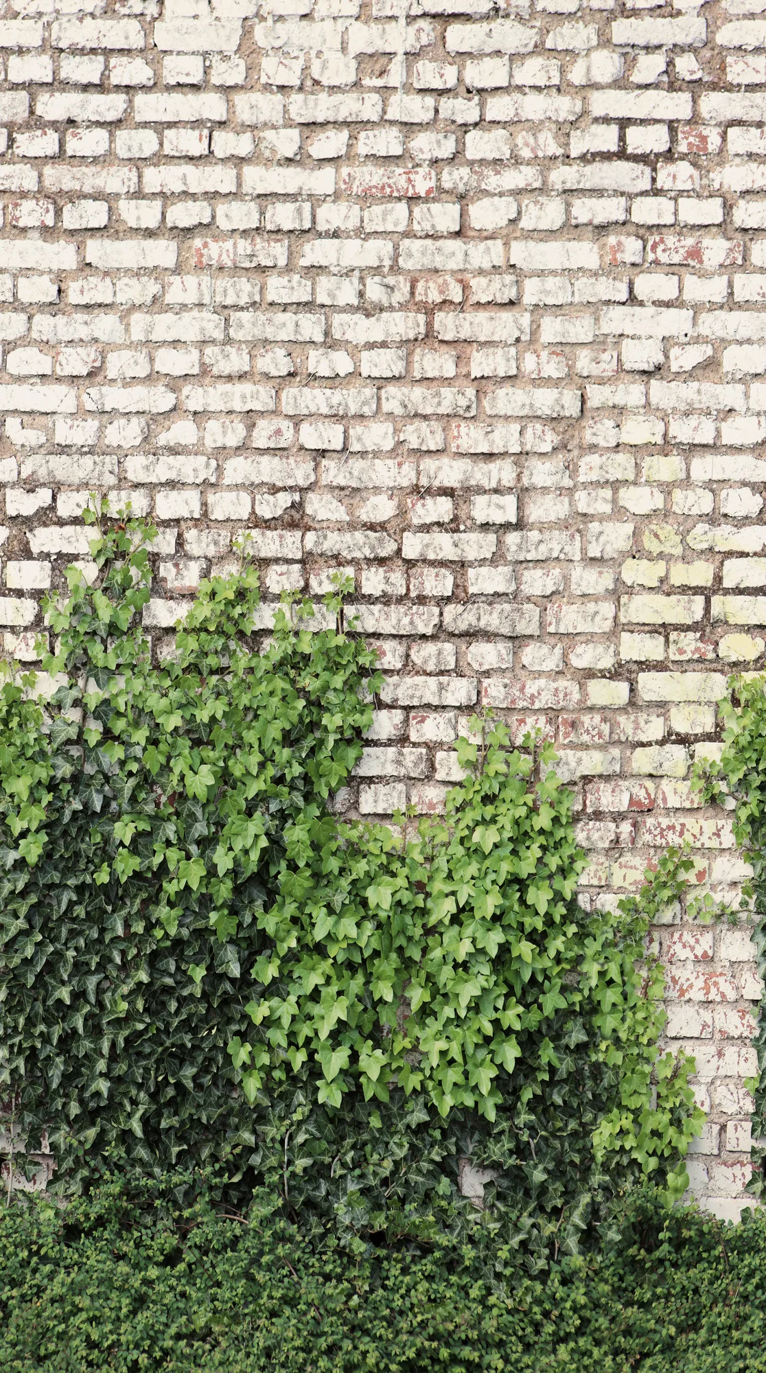 Kiviefektiga fliistapeet Livingwalls The Wall 4 – pruun – 792268 - Image 6