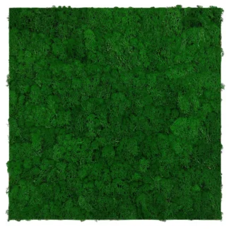 Naturaalne samblapaneel 136675