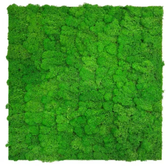 Naturaalne samblapaneel 136676