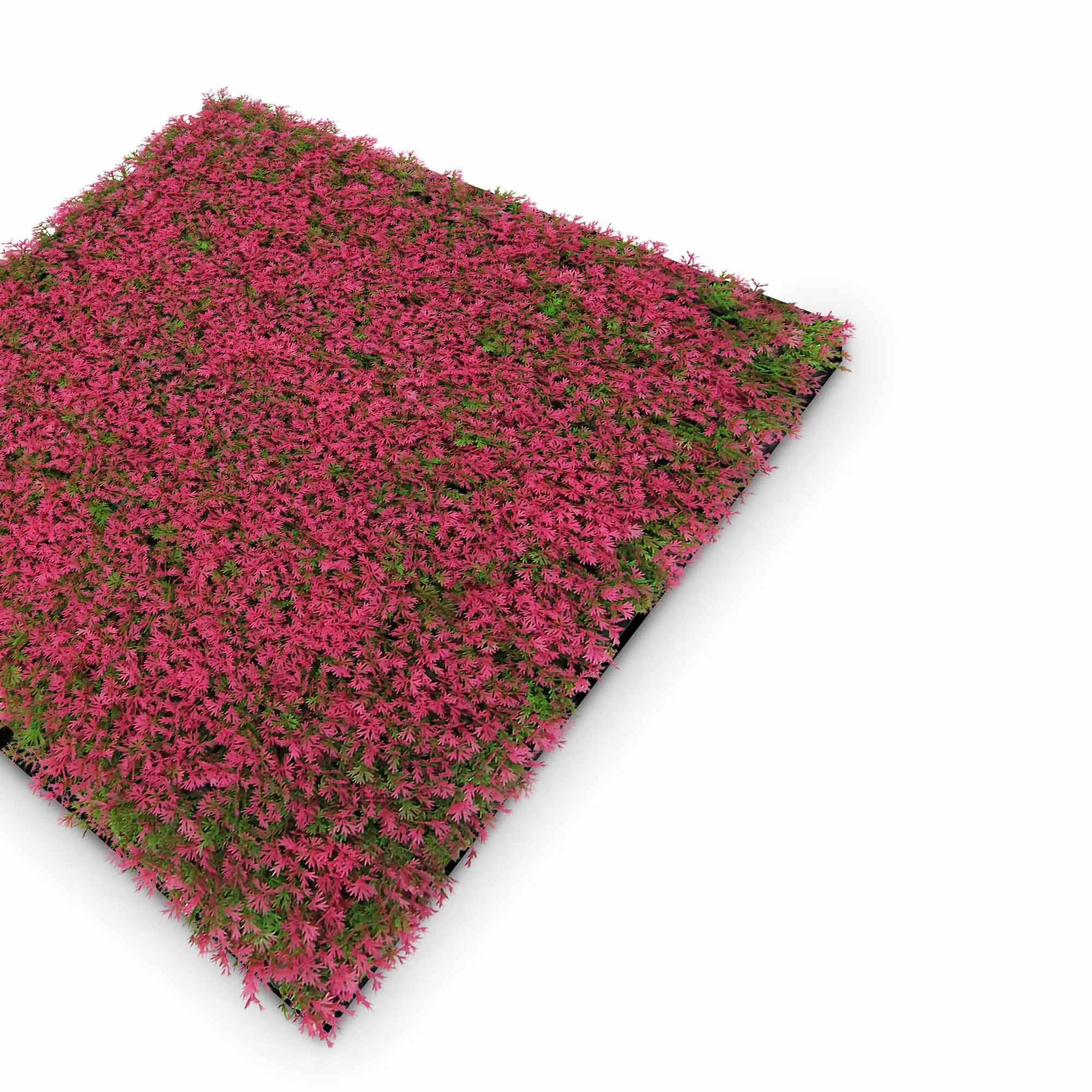 Dekoratiivne taimepaneel 136689 - Image 3