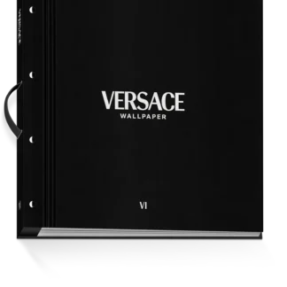 Versace 6