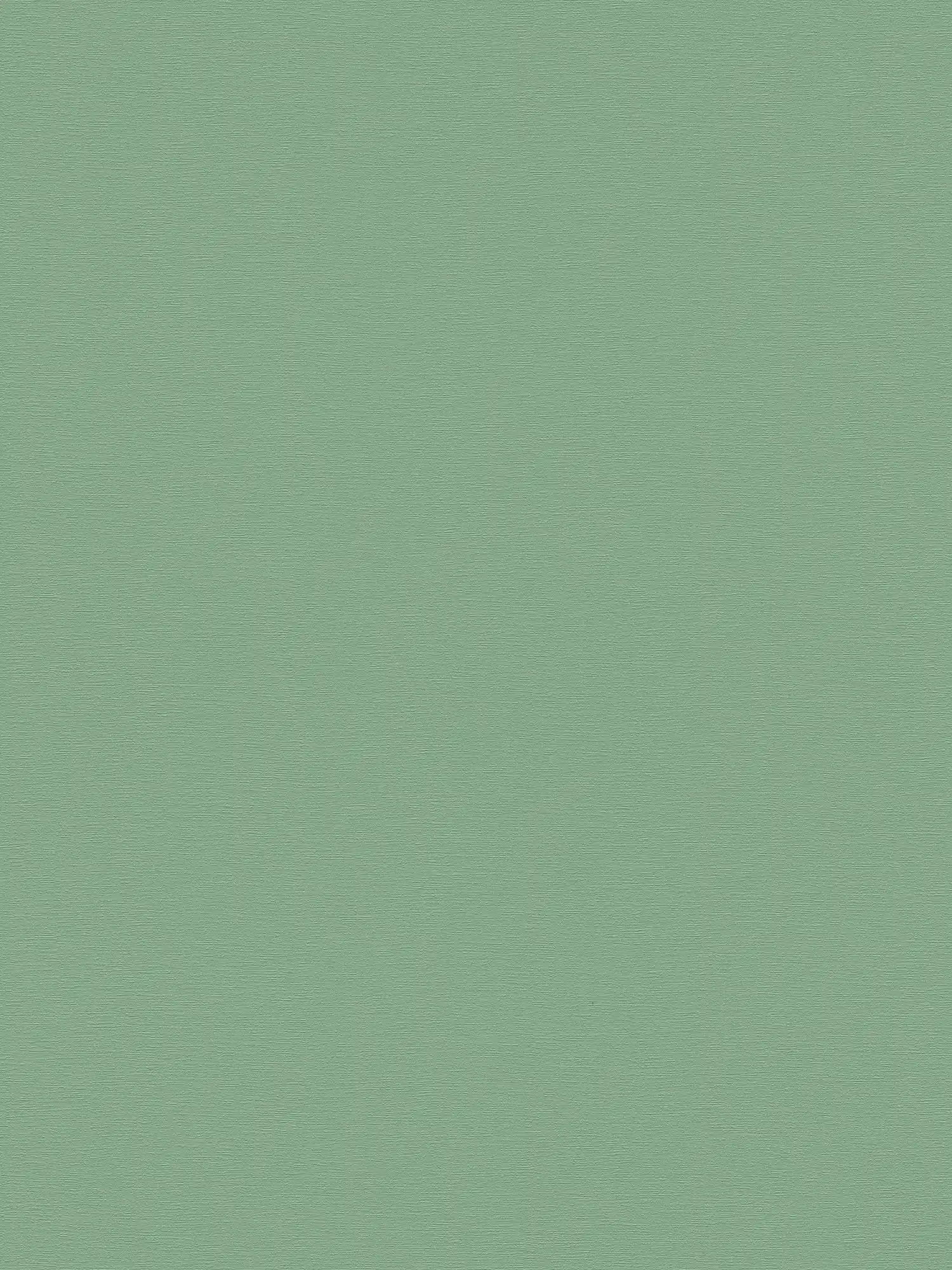 Ühetooniline fliistapeet French Affair – 395801