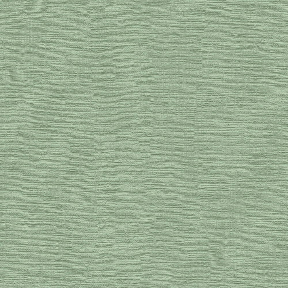 Ühetooniline fliistapeet French Affair – 395801 - Image 7