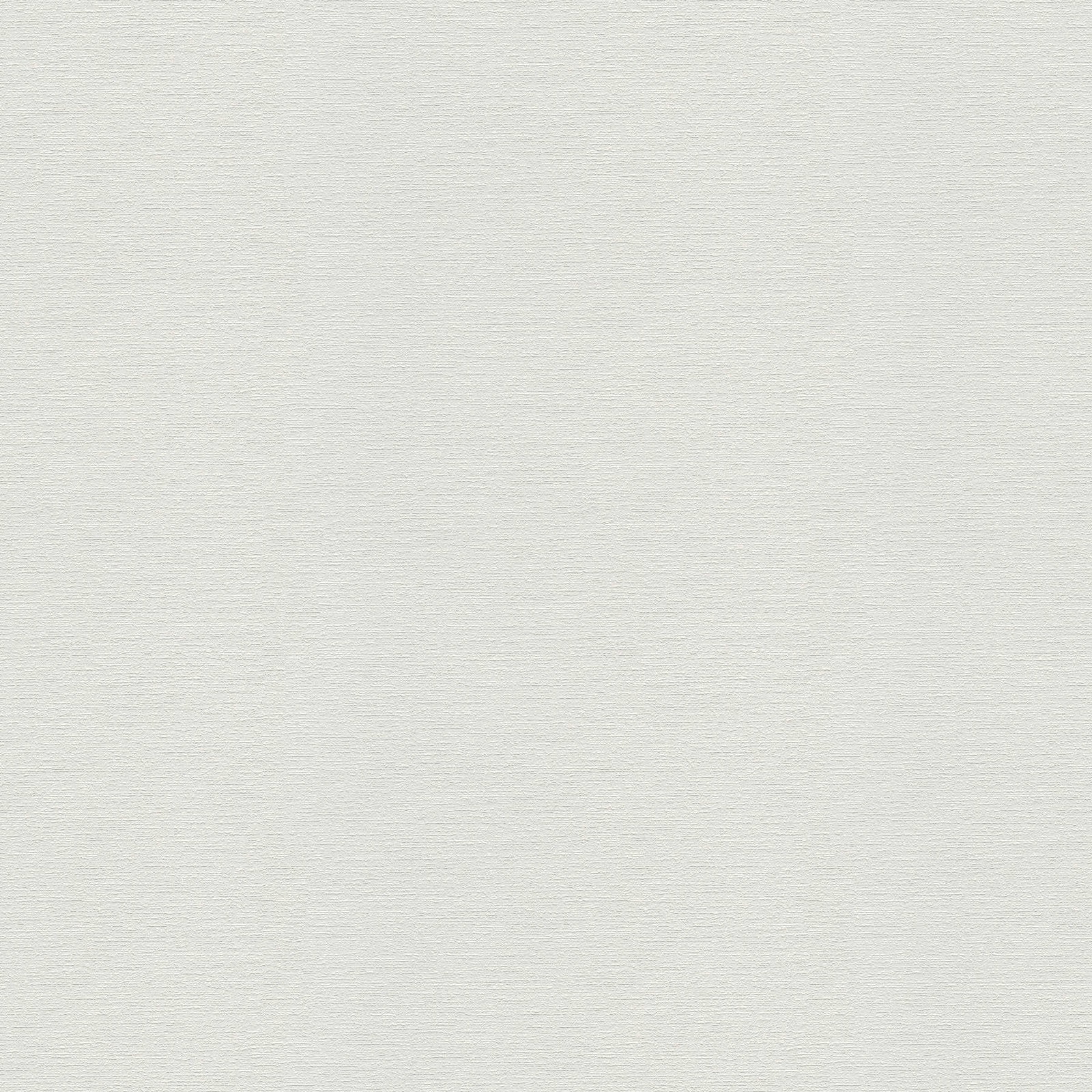 Ühetooniline fliistapeet Meistervlies 8 – 574916