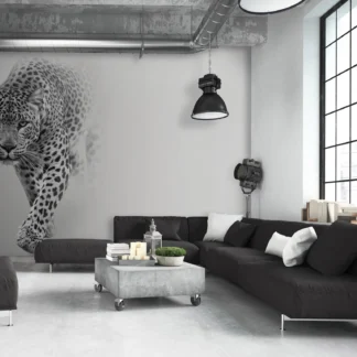 Leopard – fototapeet 13997