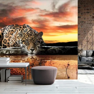 Jaaguar – fototapeet 14001
