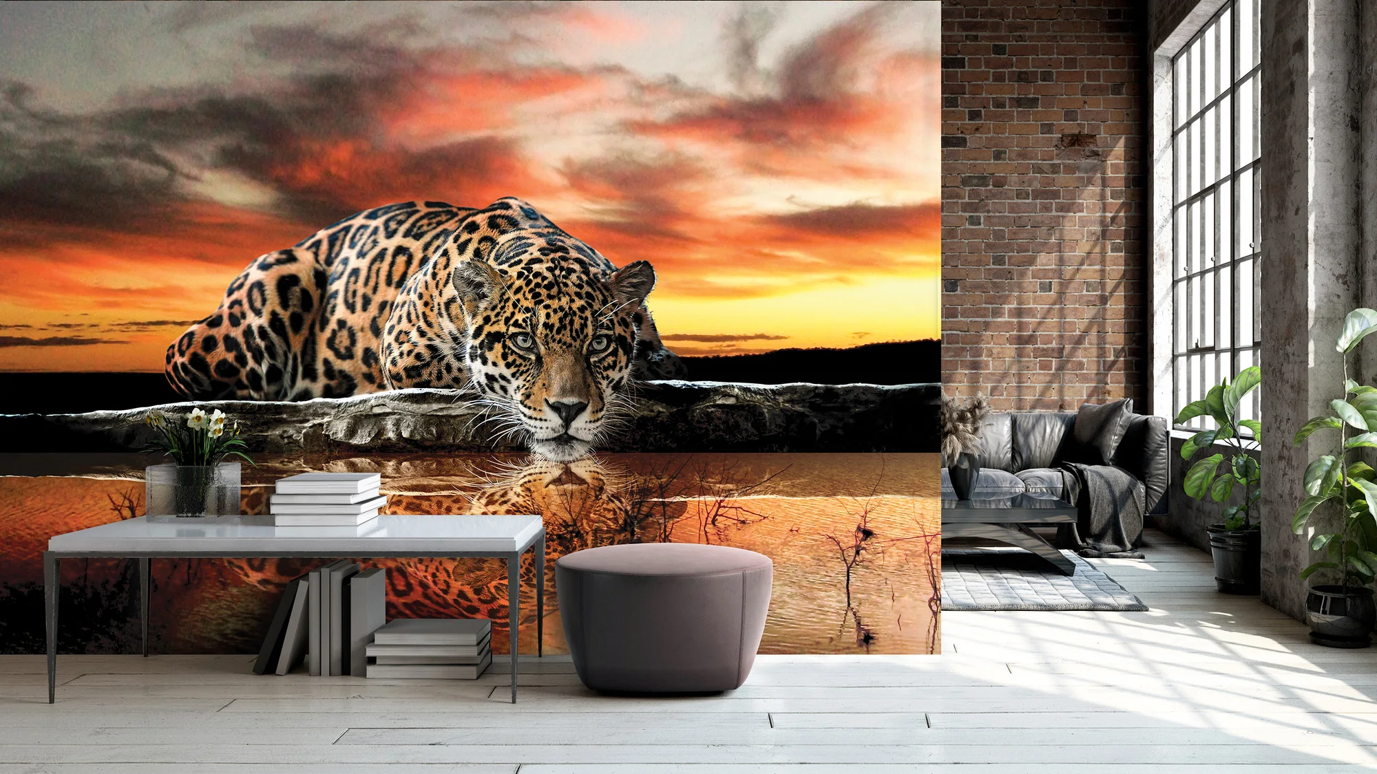 Jaaguar – fototapeet 14001