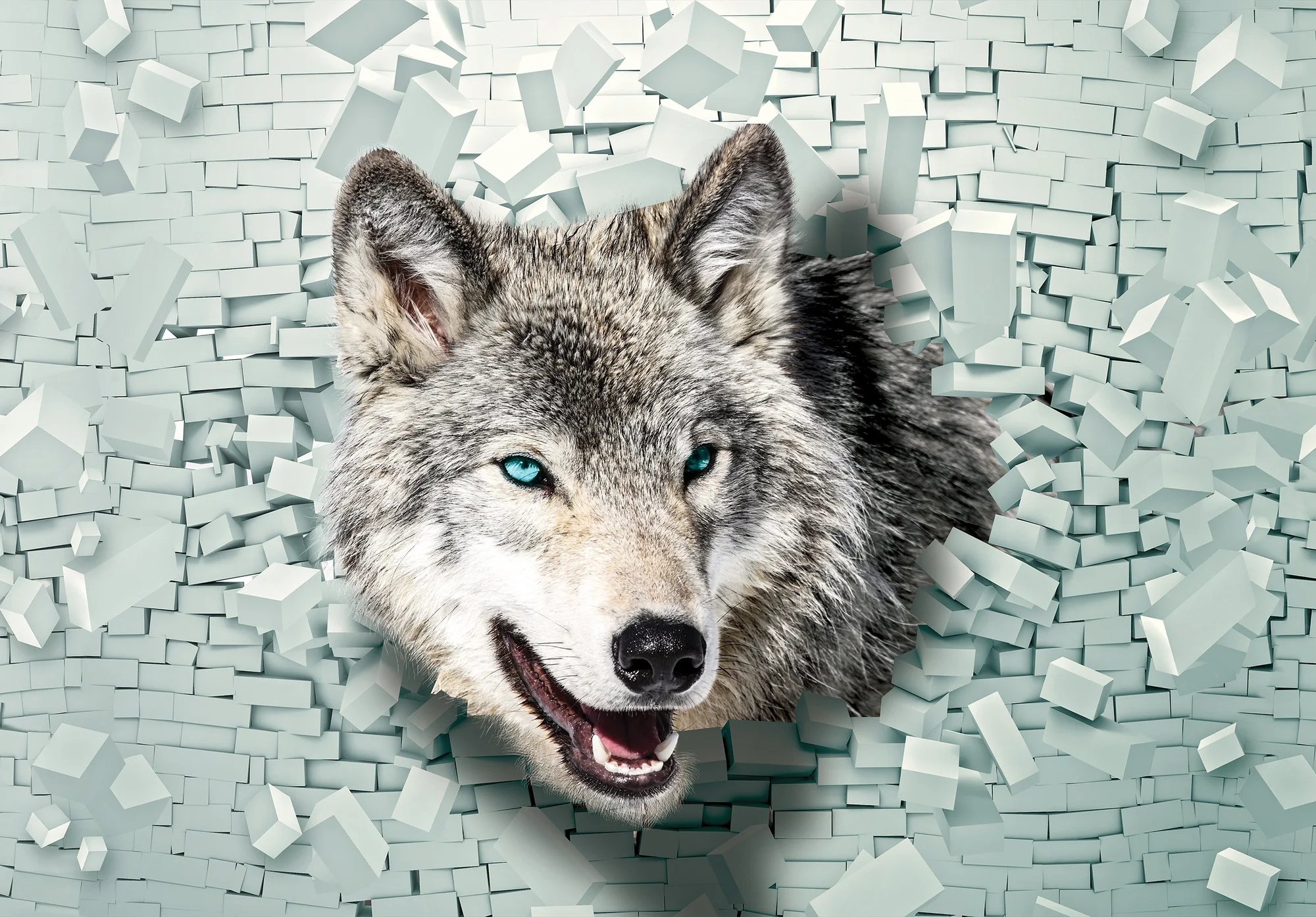 Hunt – fototapeet 14002 - Image 6