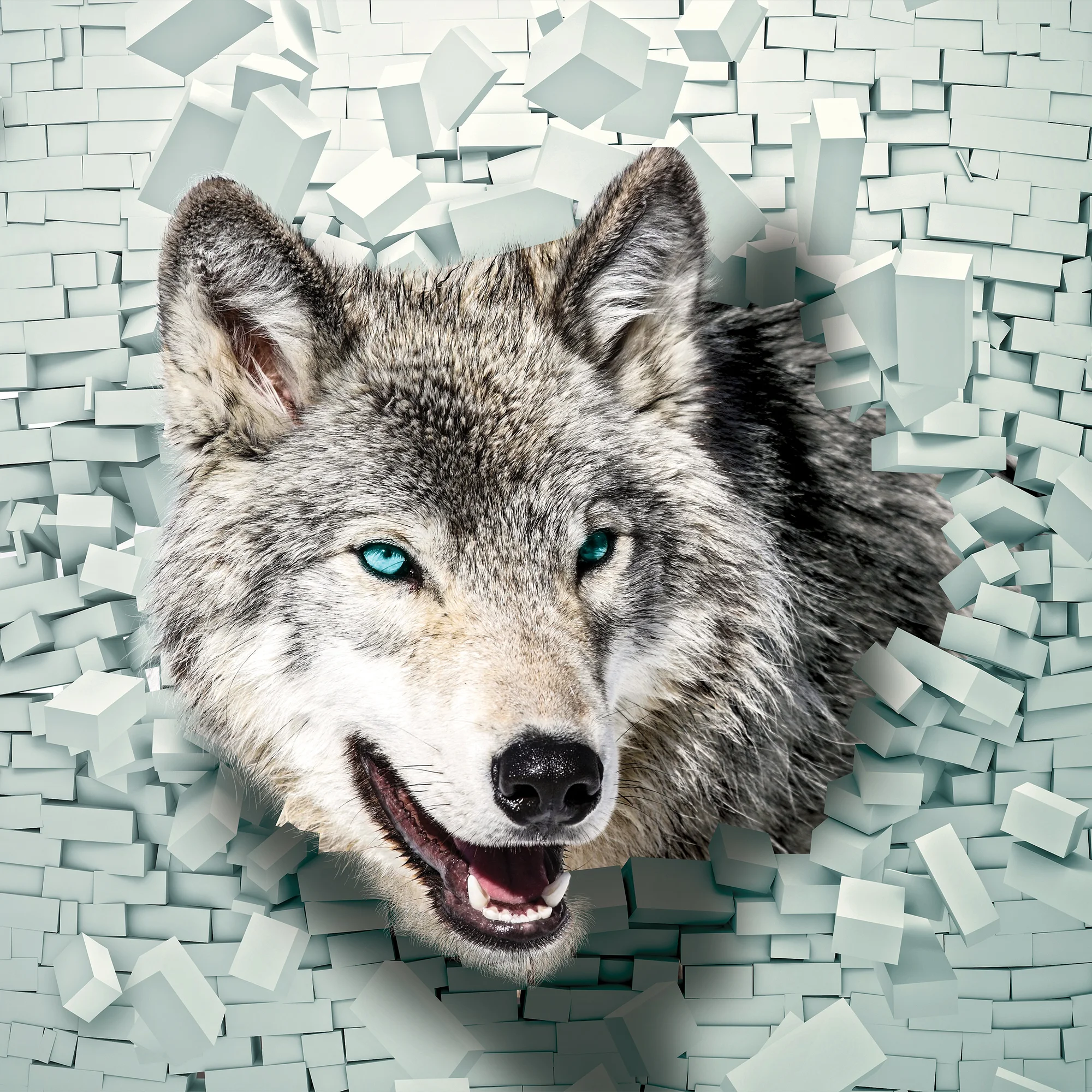 Hunt – fototapeet 14002 - Image 5