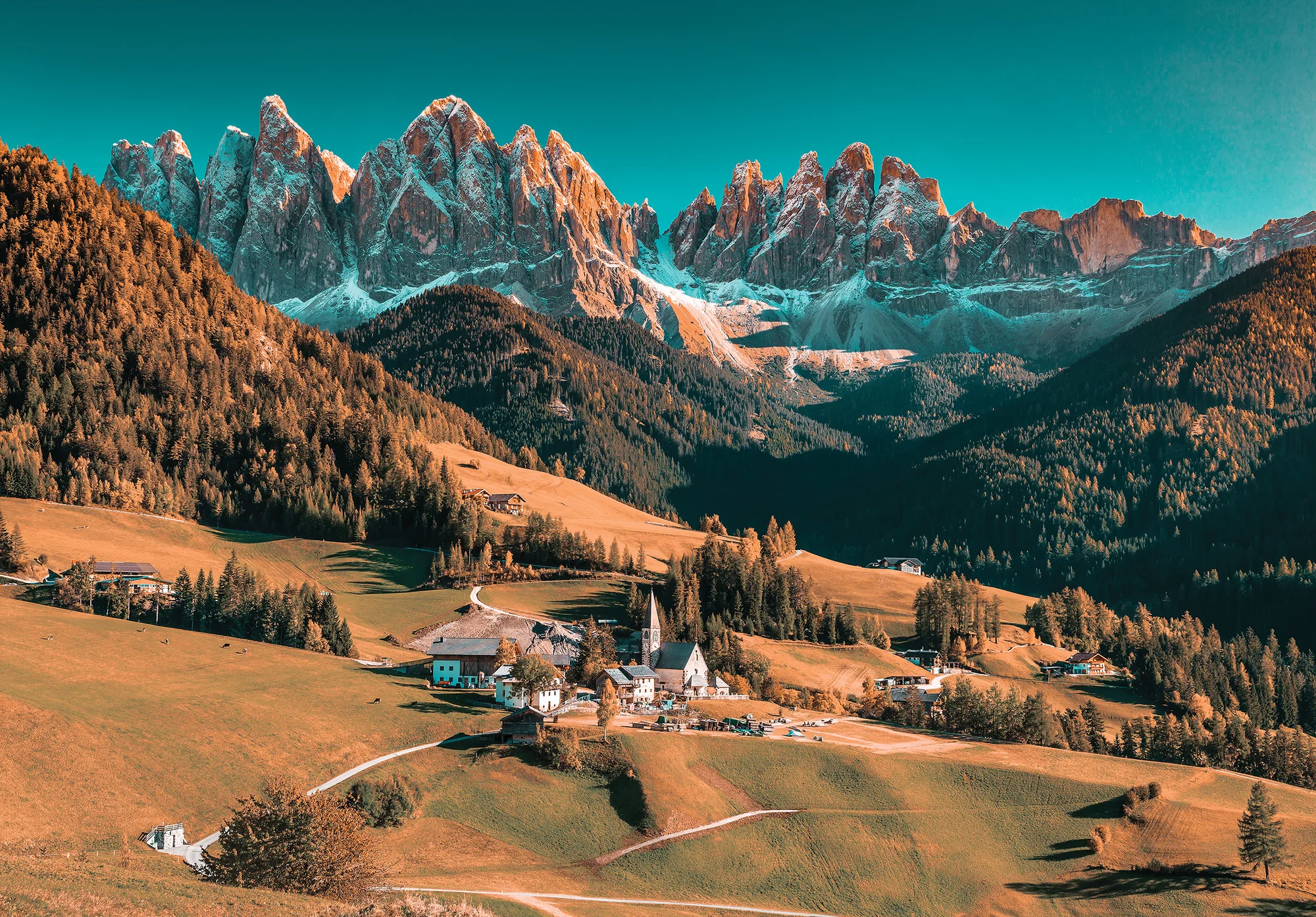 Mets – fototapeet 14019 - Image 6