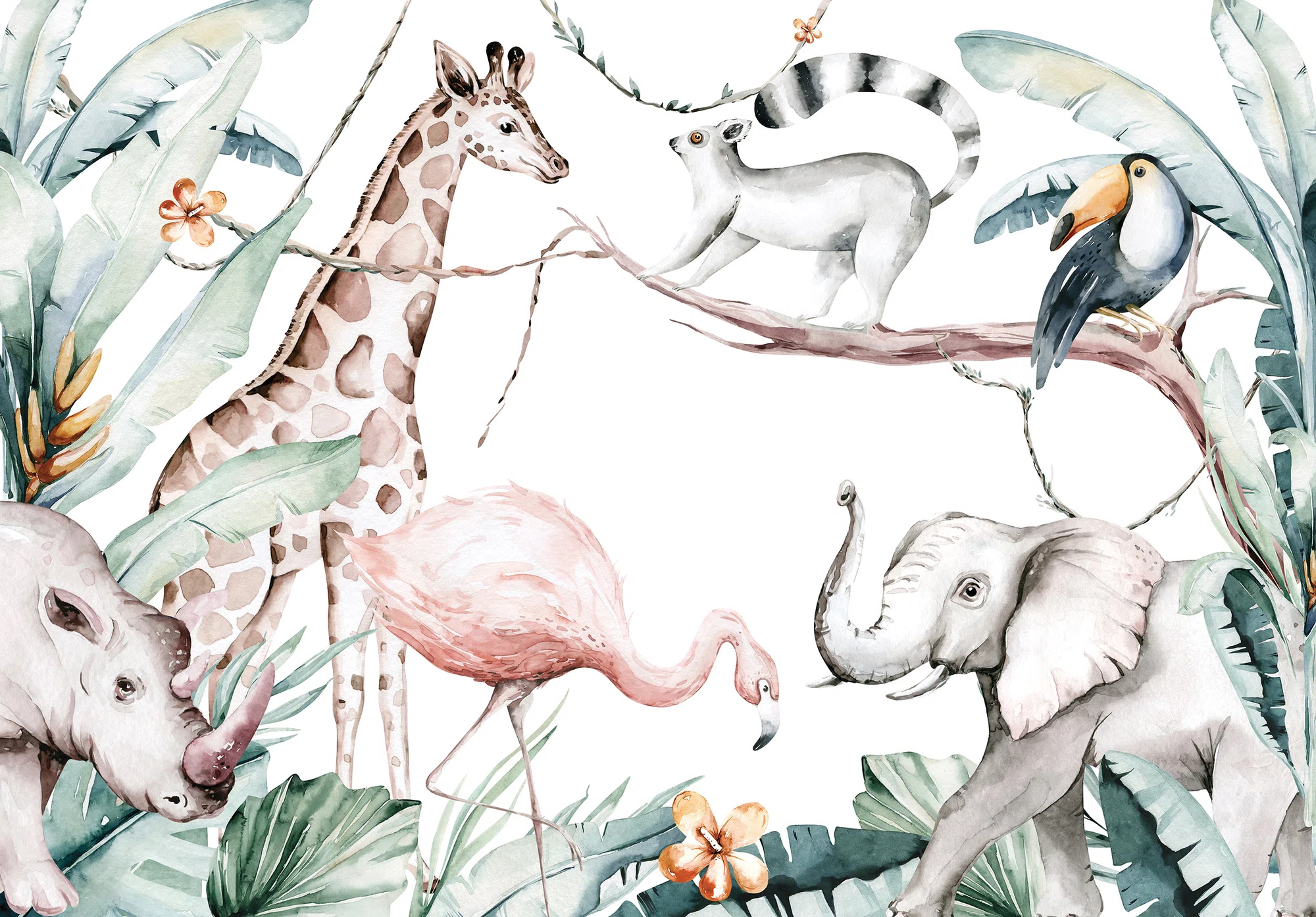Tukaanid džunglis – fototapeet 14069 - Image 6