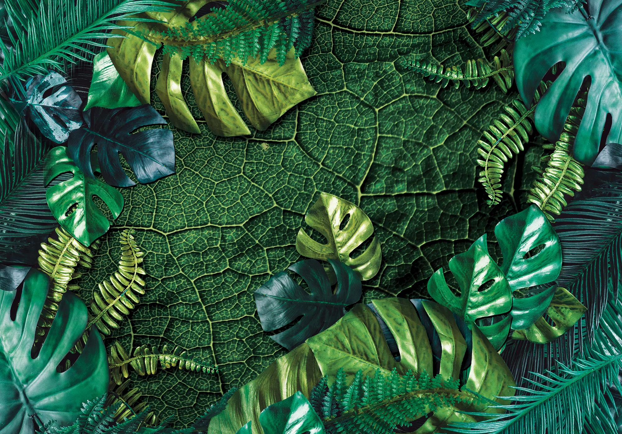 Tumerohelised monstera lehed – fototapeet 14100 - Image 6
