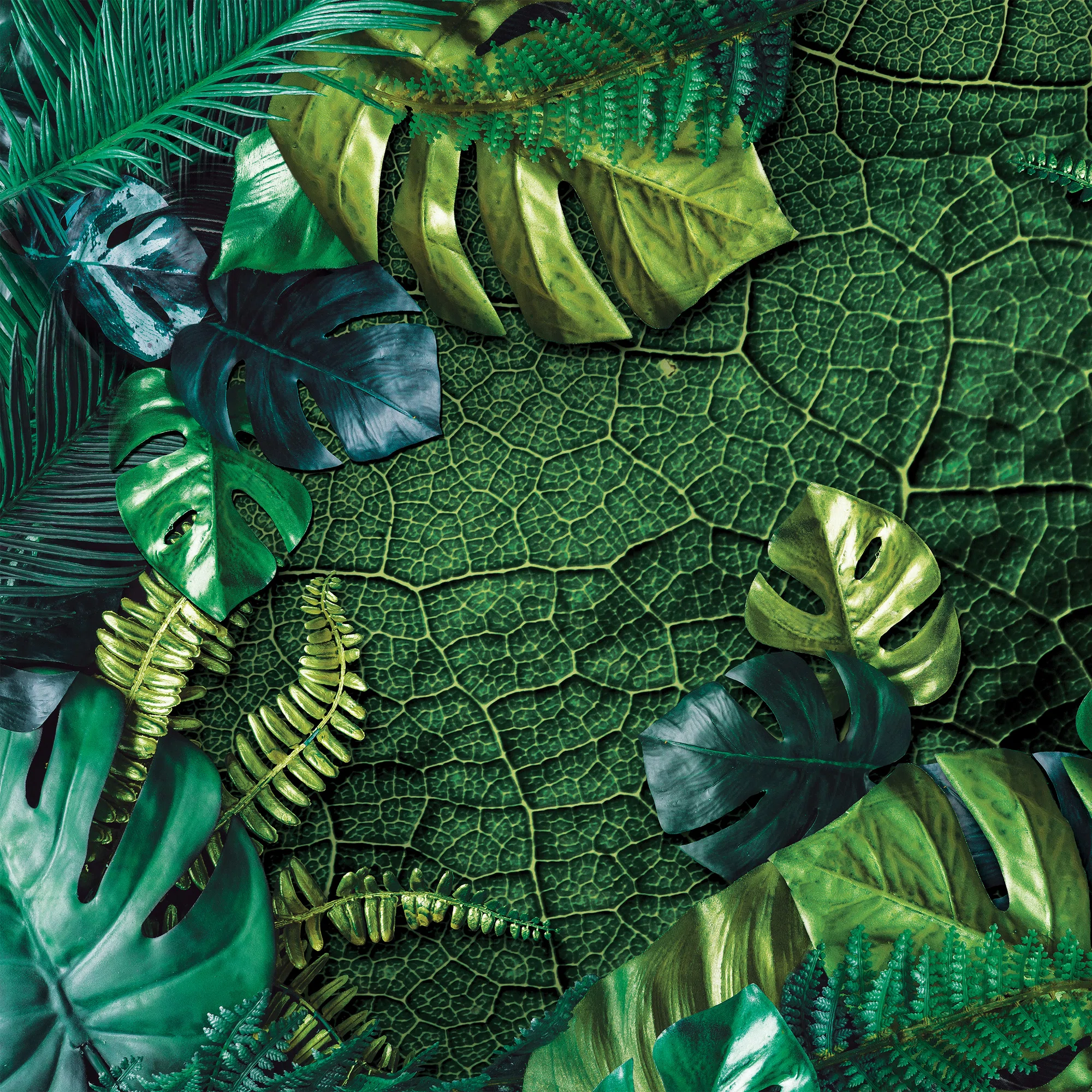 Tumerohelised monstera lehed – fototapeet 14100 - Image 5