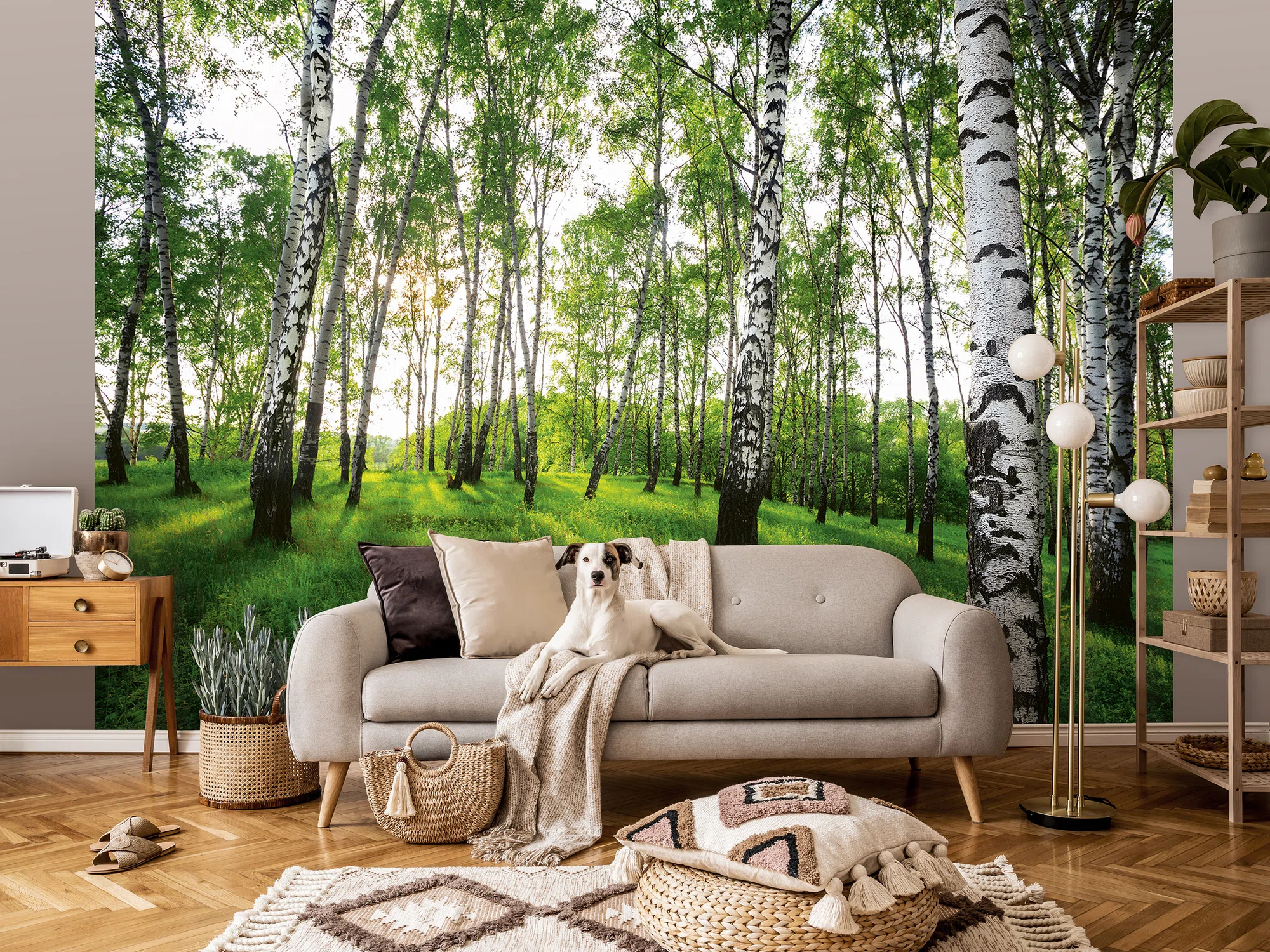 Botaanilised lehed – fototapeet 14175 - Image 3