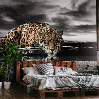 Jaaguar – fototapeet 14419