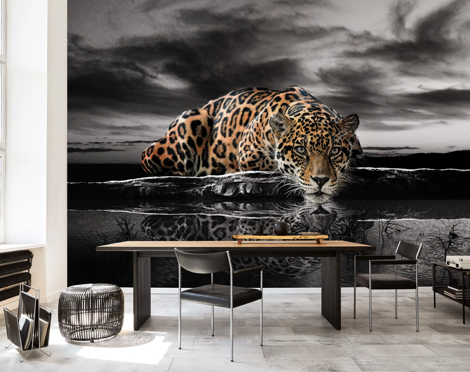Jaaguar – fototapeet 14419 - Image 2