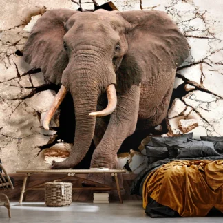 Elevandid – fototapeet 14437