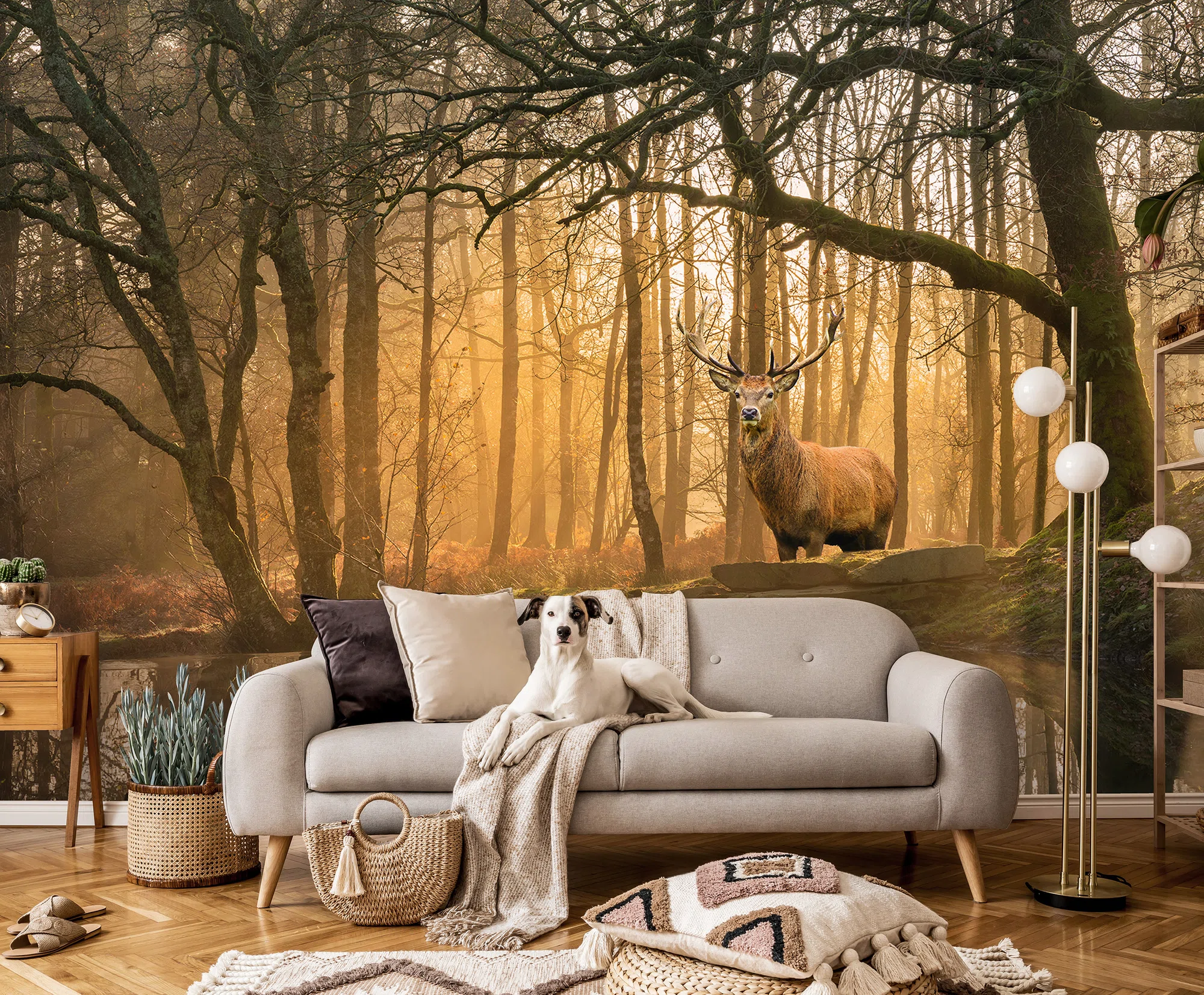 Hirv looduses – fototapeet 14520 - Image 2