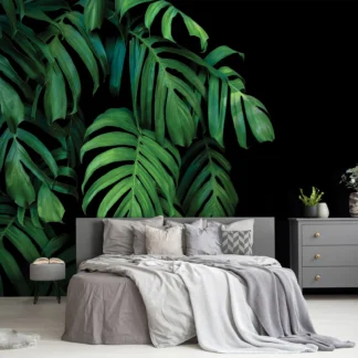 Monstera lehed – fototapeet 14549