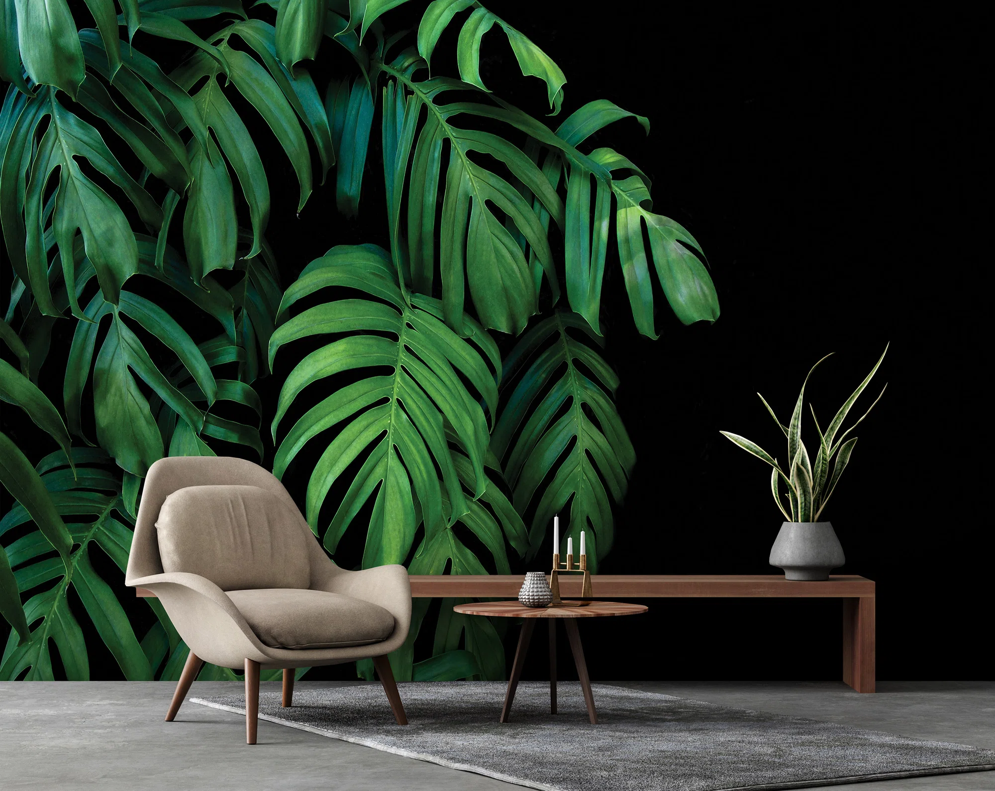 Monstera lehed – fototapeet 14549 - Image 2