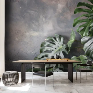 Monstera lehed – fototapeet 14551