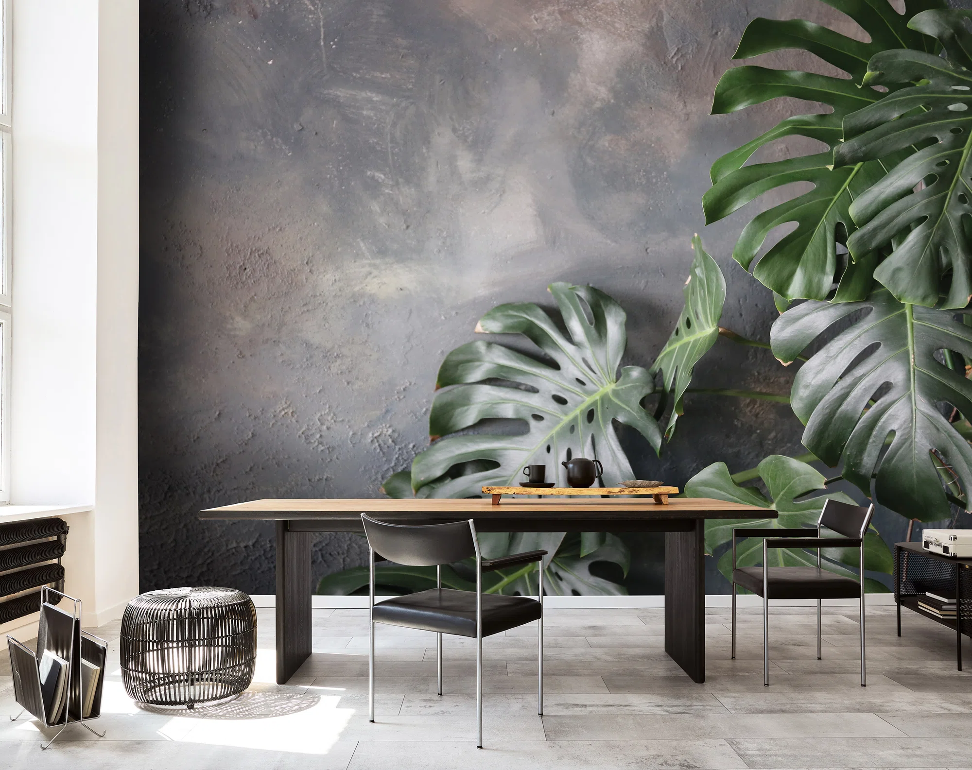 Monstera lehed – fototapeet 14551