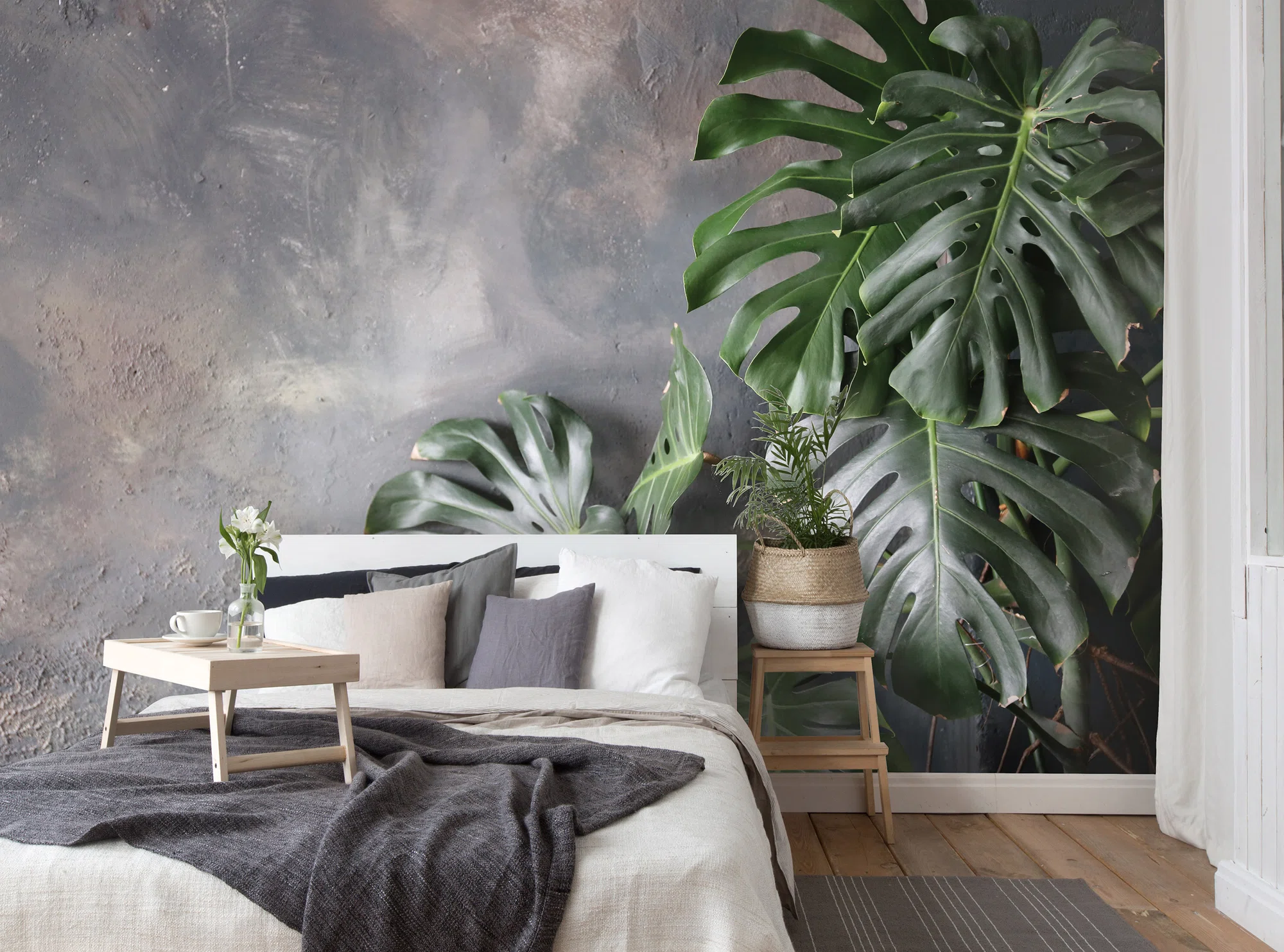 Monstera lehed – fototapeet 14551 - Image 2