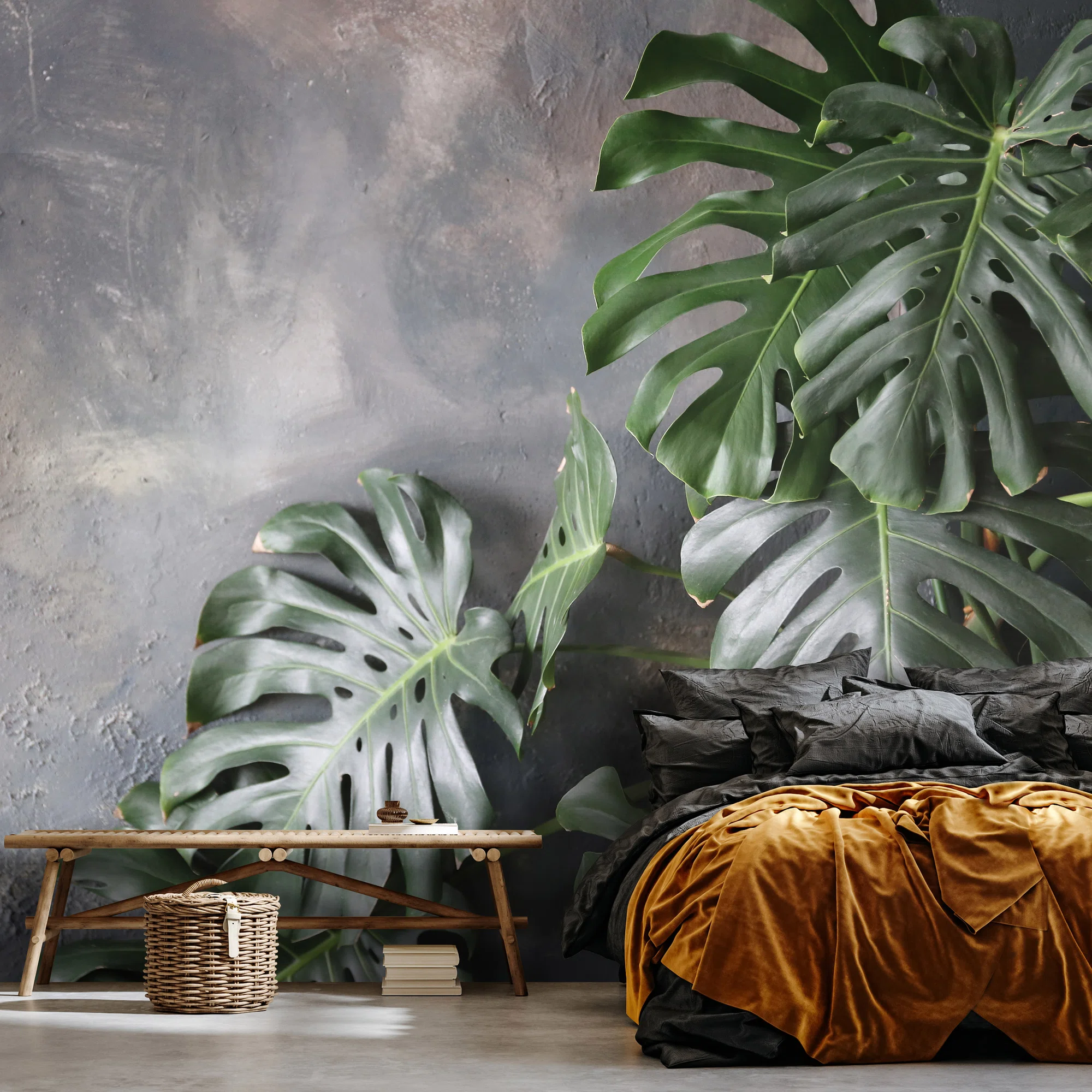 Monstera lehed – fototapeet 14551 - Image 4