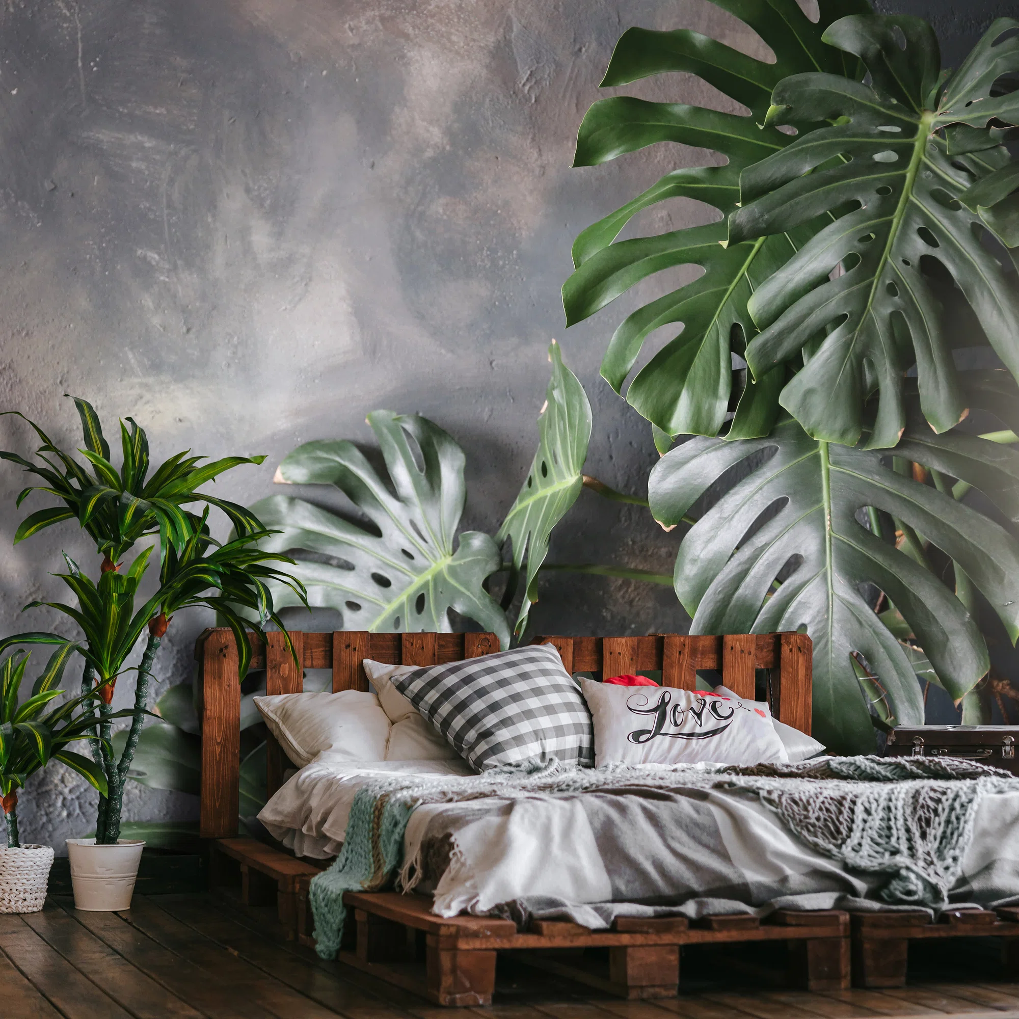 Monstera lehed – fototapeet 14551 - Image 7