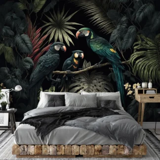 Monstera lehed – fototapeet 14668