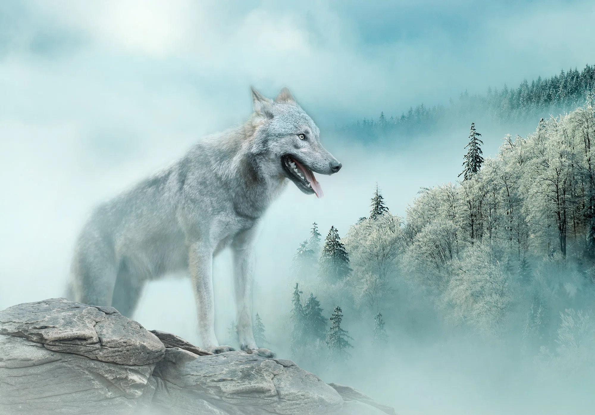 Hunt – fototapeet 14684 - Image 6