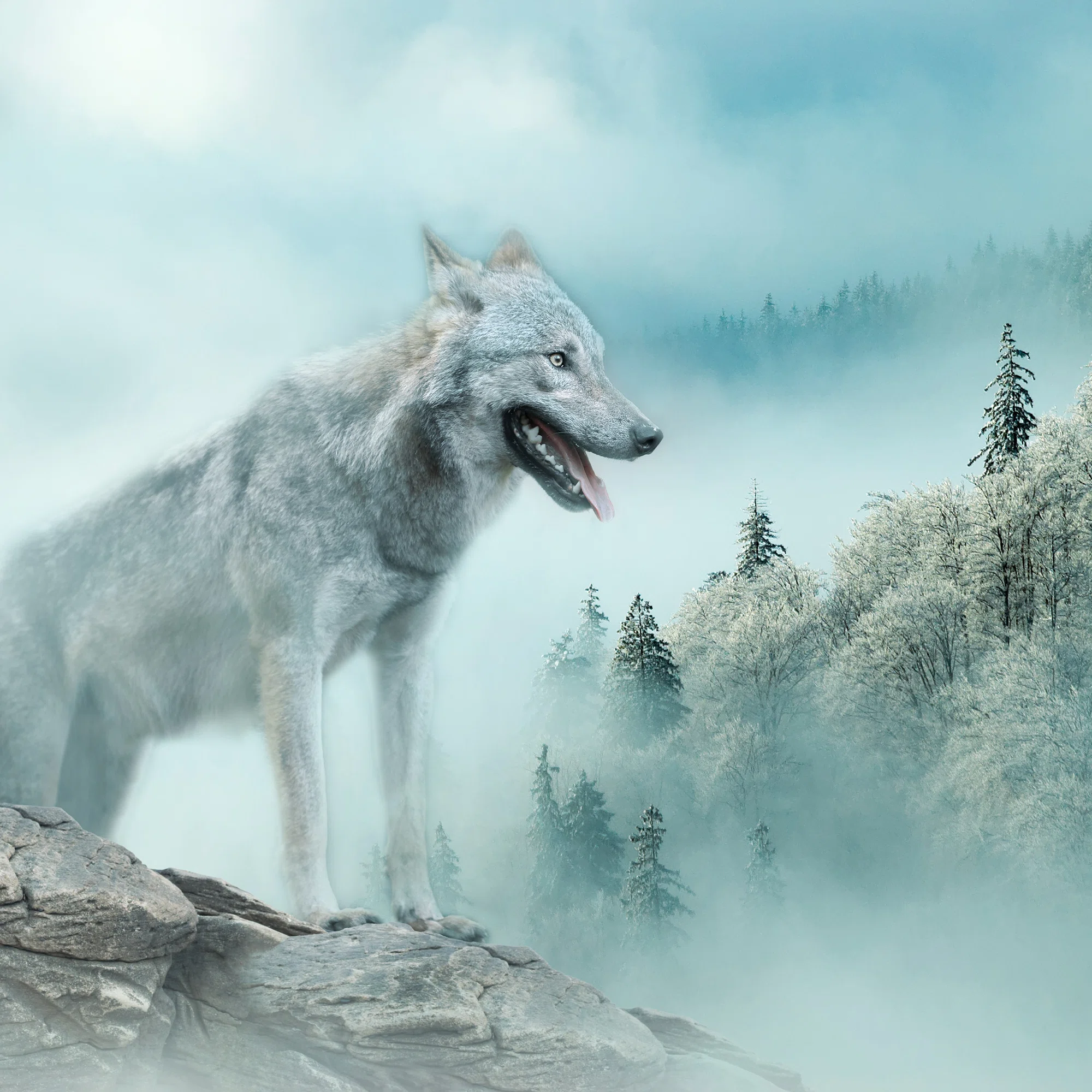 Hunt – fototapeet 14684 - Image 5